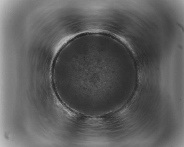 X0000101171327200807071213