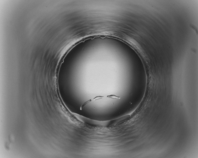 X0000101171332200807071213