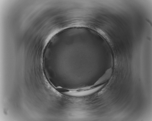 X0000101171334200807071213
