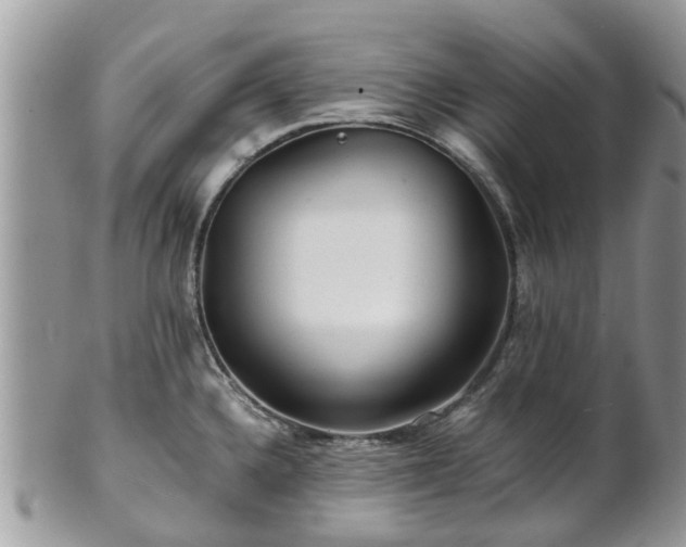 X0000101171336200807071213