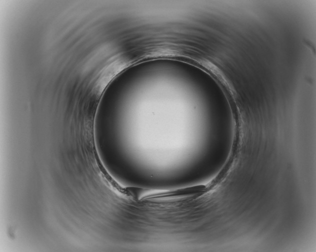 X0000101171337200807071213