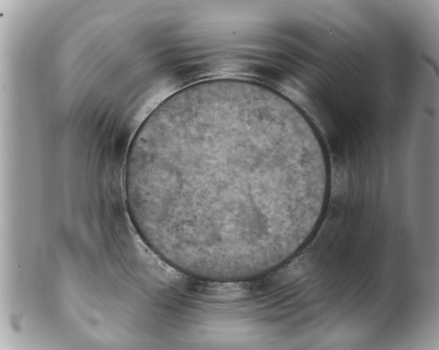 X0000101171338200807071213