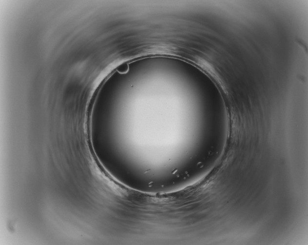 X0000101171339200807071213