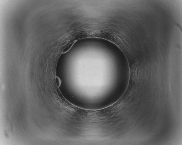 X0000101171345200807071212