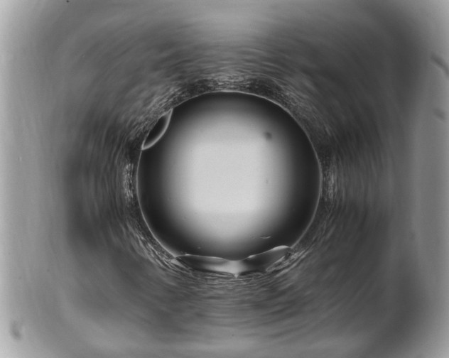 X0000101171346200807071212