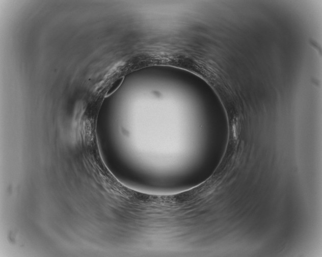 X0000101171347200807071212