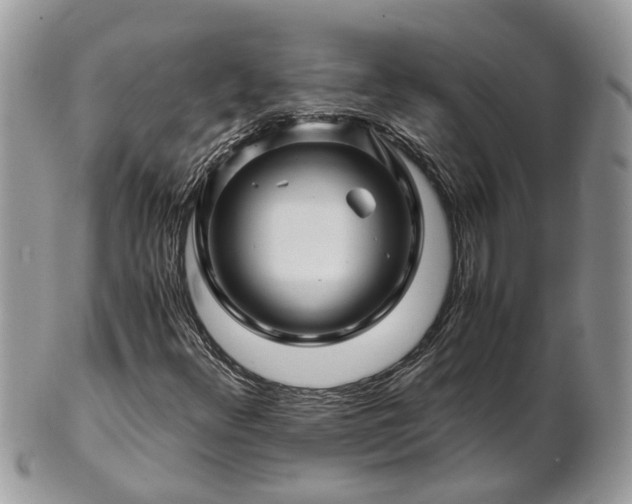X0000101171348200807071212