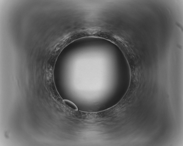 X0000101171349200807071212