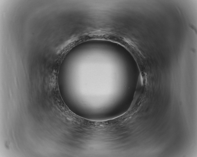 X0000101171350200807071212