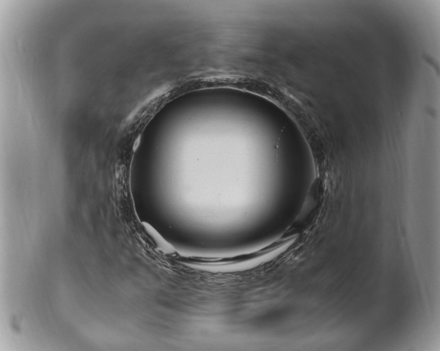 X0000101171351200807071212
