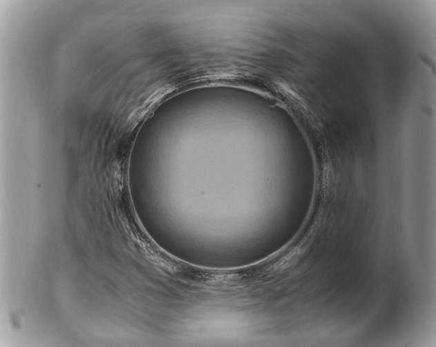 X0000101171353200807071212