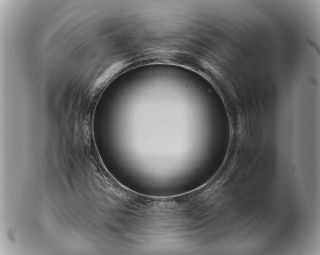 X0000101171354200807071212