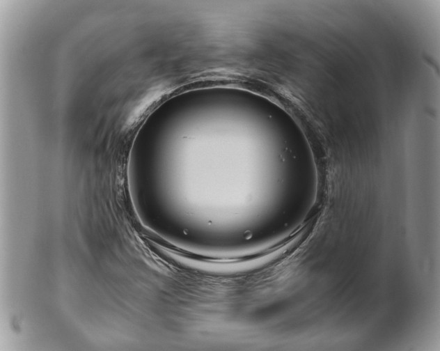 X0000101171355200807071212