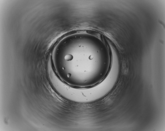 X0000101171356200807071212