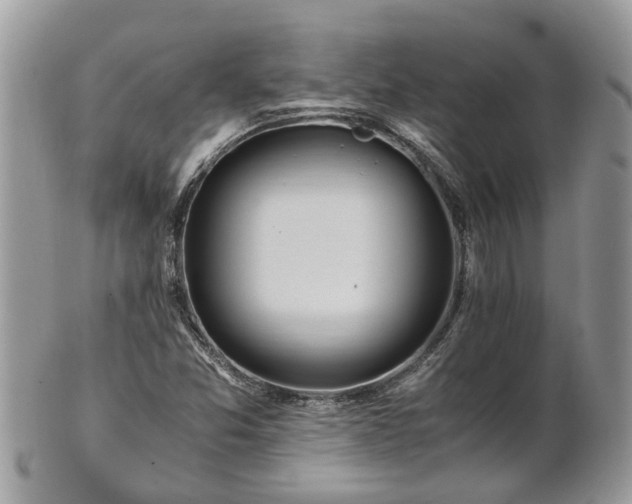 X0000101171357200807071212