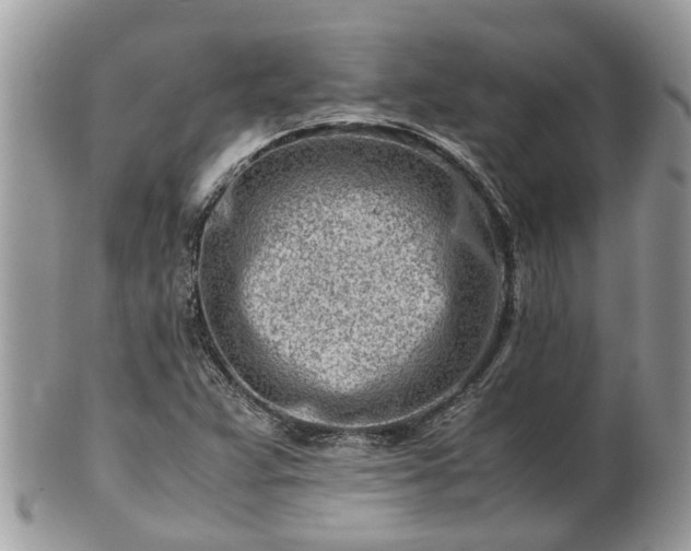 X0000101171359200807071212