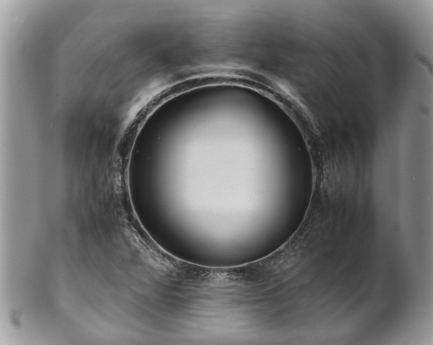 X0000101171360200807071212