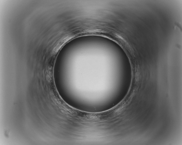 X0000101171361200807071212