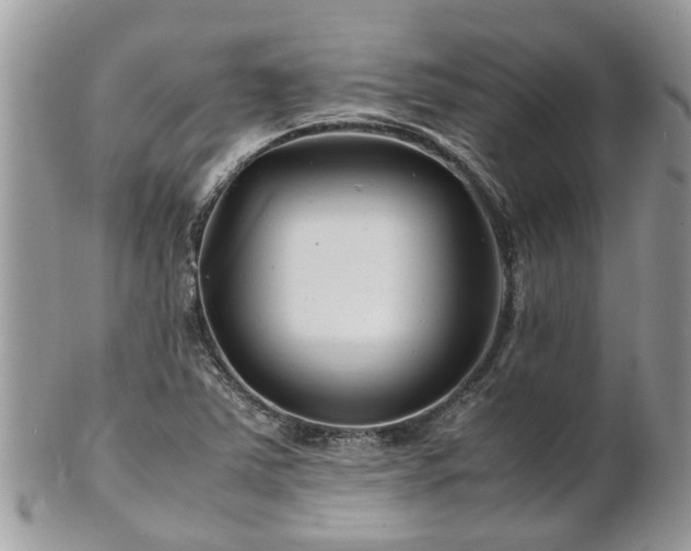X0000101171363200807071212