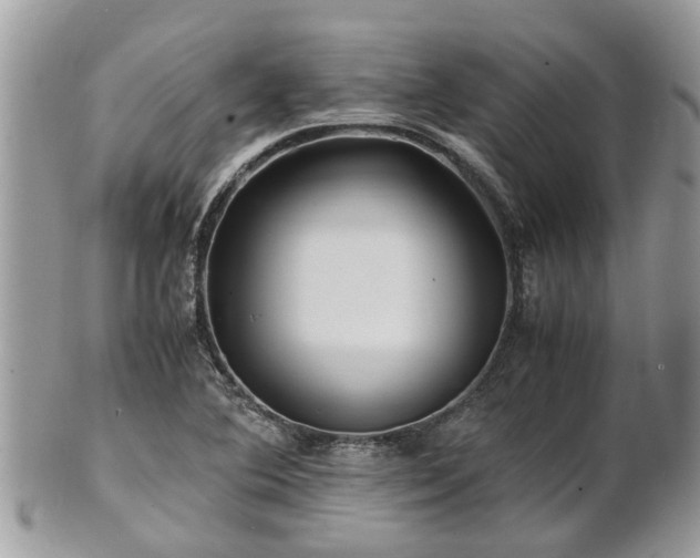X0000101171364200807071212