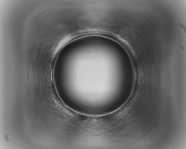 X0000101171365200807071212