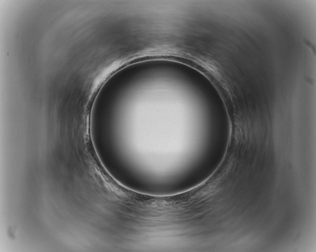 X0000101171366200807071212