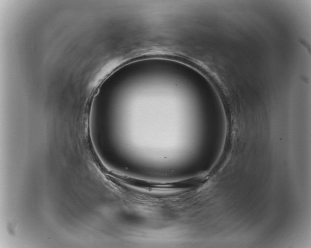 X0000101171367200807071212