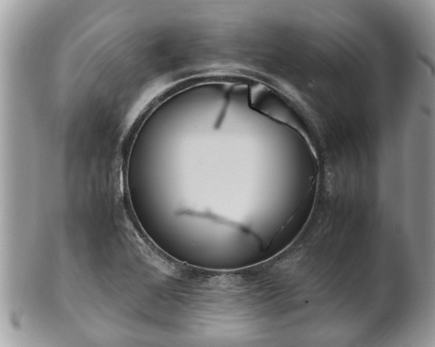 X0000101171368200807071212