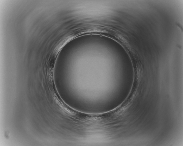 X0000101171369200807071212