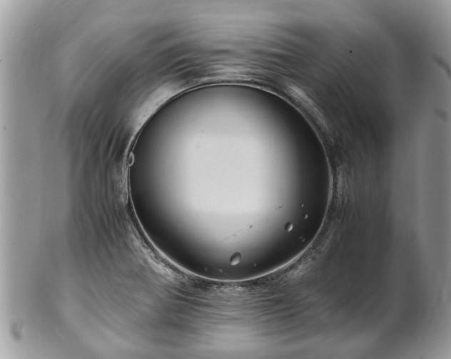 X0000101171370200807071212