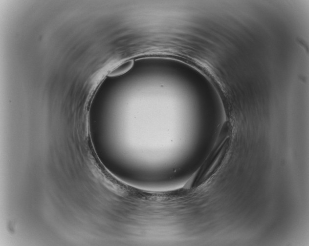 X0000101171371200807071212