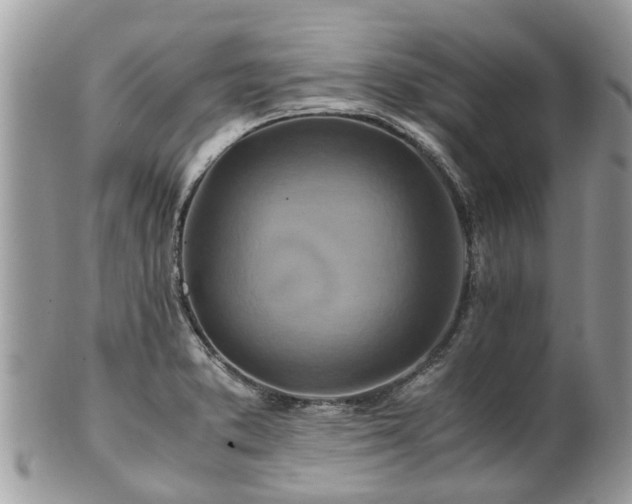 X0000101171373200807071212