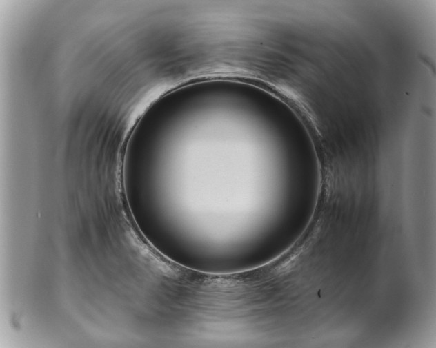 X0000101171374200807071212