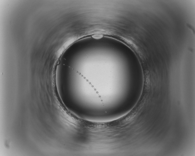 X0000101171375200807071212
