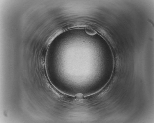 X0000101171377200807071212