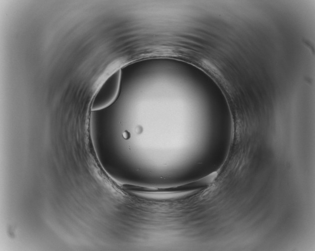 X0000101171378200807071212