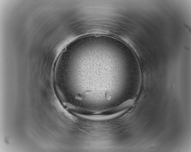 X0000101171379200807071212