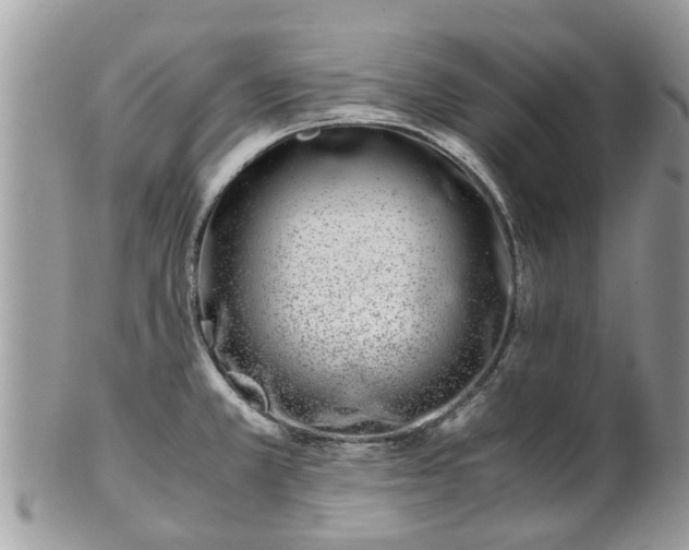 X0000101171381200807071212