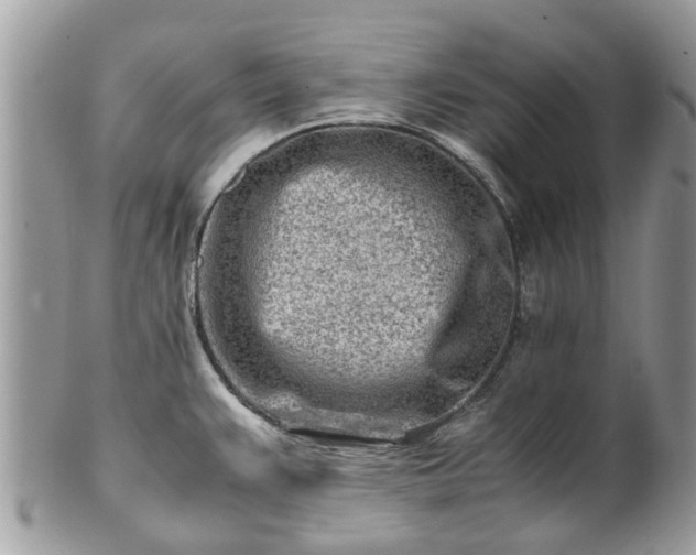 X0000101171383200807071212