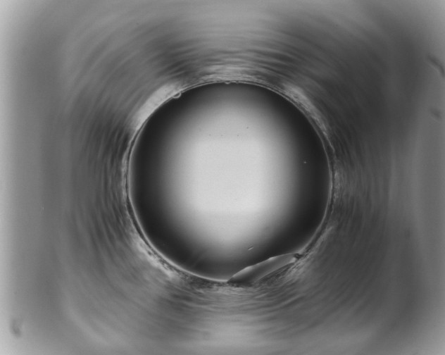 X0000101171386200807071211