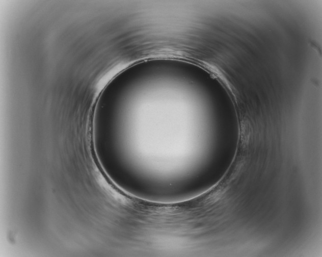 X0000101171387200807071211