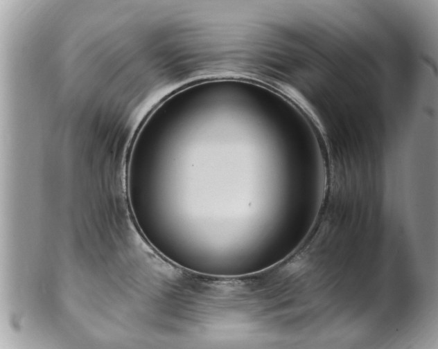 X0000101171388200807071211