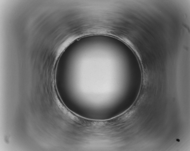 X0000101171389200807071211