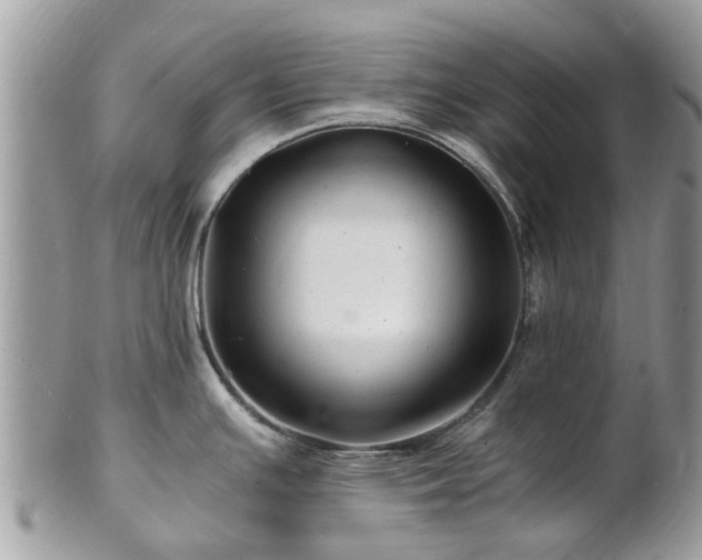 X0000101171391200807071211