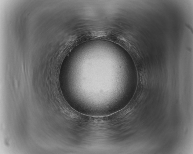 X0000101171393200807071211