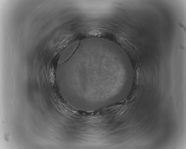 X0000101171394200807071211