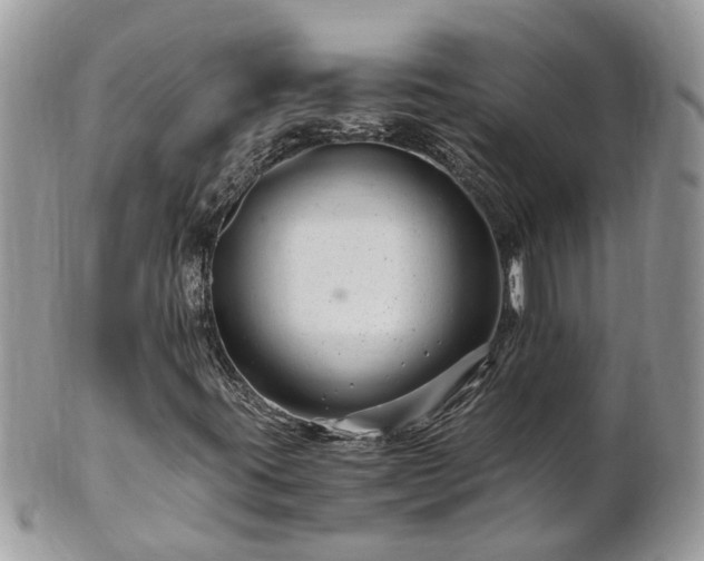 X0000101171395200807071211
