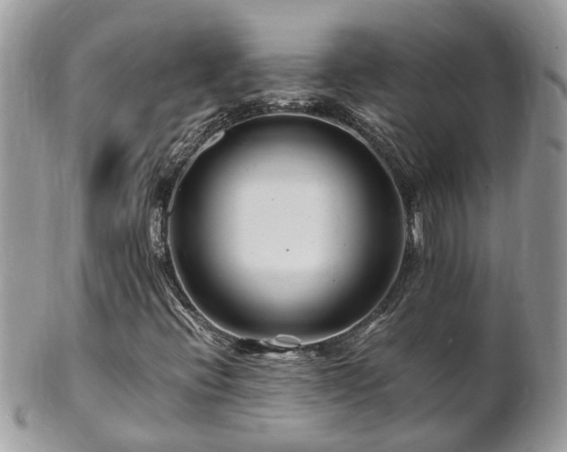 X0000101171396200807071211