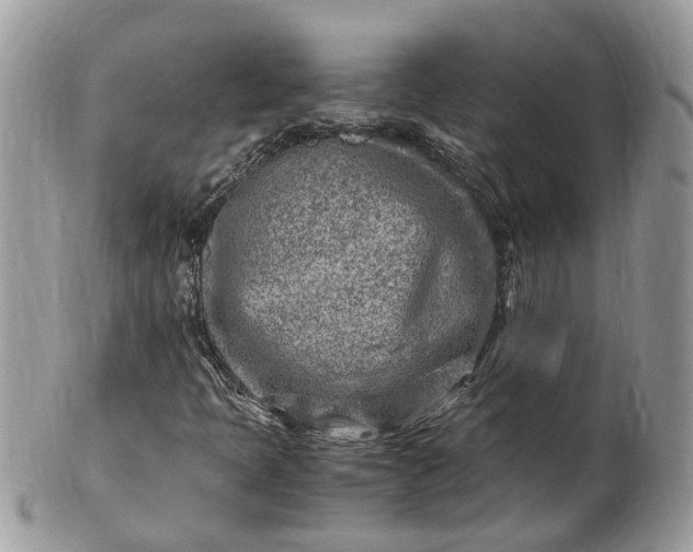 X0000101171397200807071211