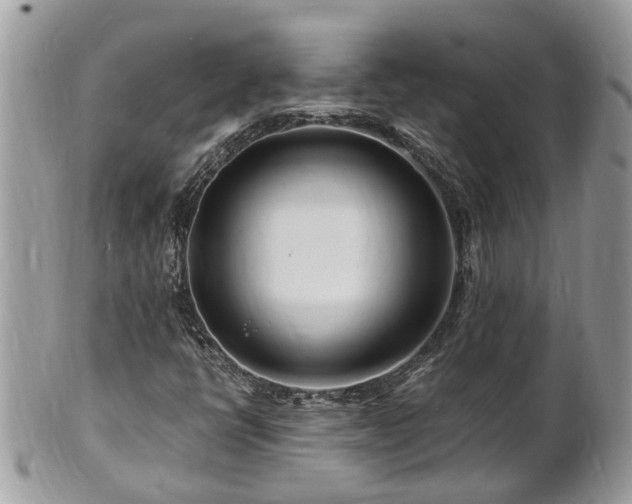 X0000101171398200807071211